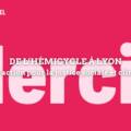 De l’hémicycle à Lyon : un an d’action pour la justice sociale et climatique